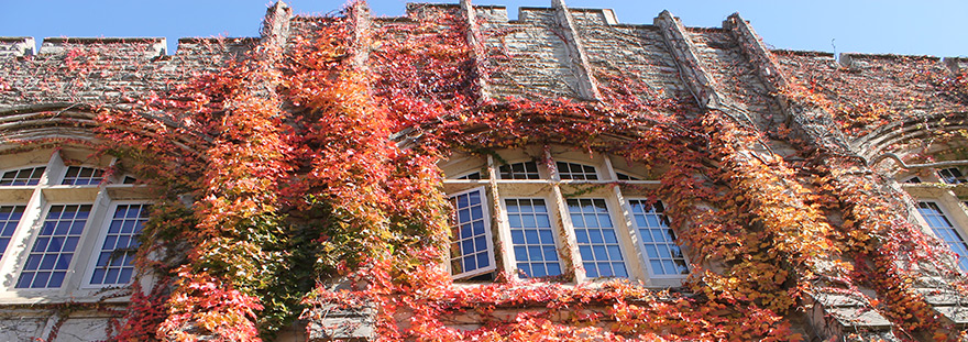 Lawson Hall with fall  leaves