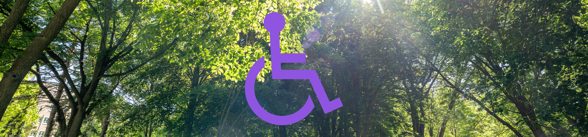 Accessibility