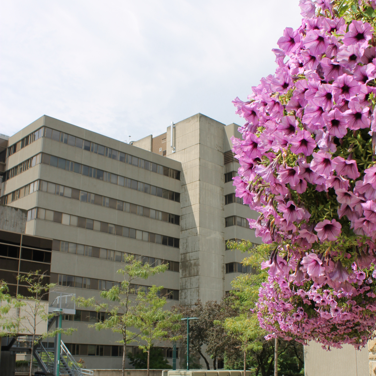 SSC Building