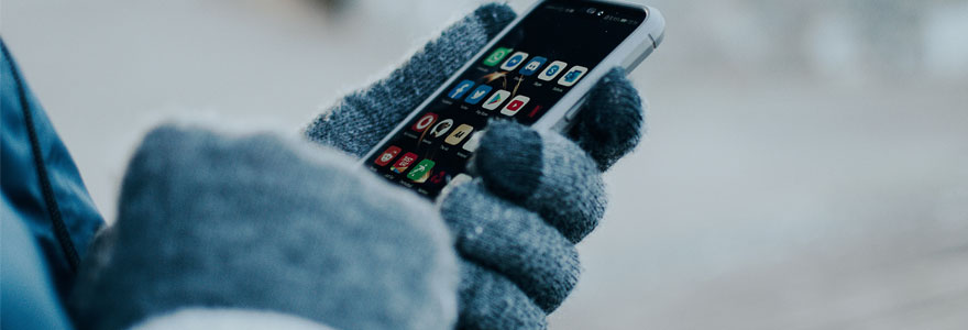 Person wearing mittens, holding cell phone