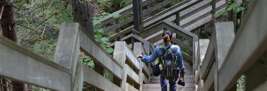 Aranya Iyer in Fundy National Park