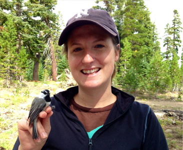 Carrie Branch, Assistant Professor, Department of Psychology