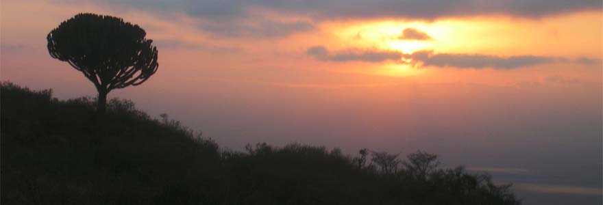 Dryland at sunset, photo by Lucy Witter