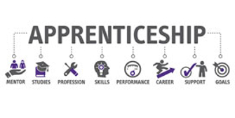 Social Science Career Apprenticeship