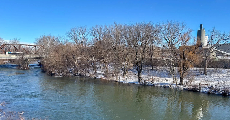 External News Article Image