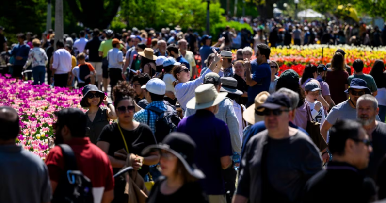 External News Article Image