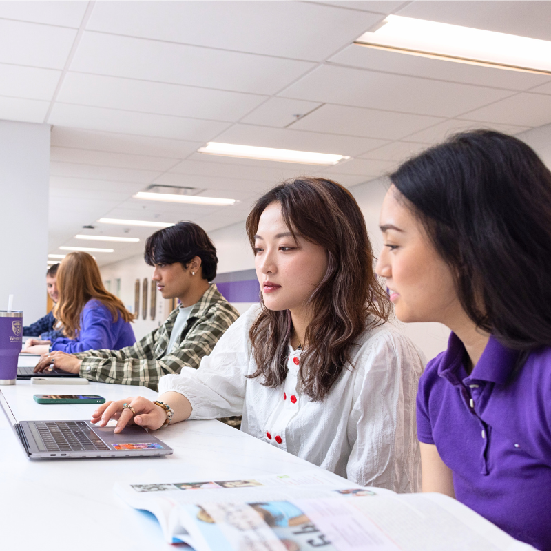 1-1 Course Advising and Student Support