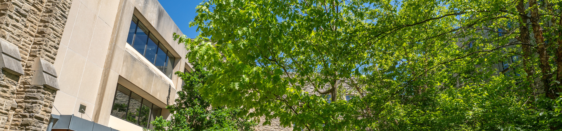 Research and Travel Grants